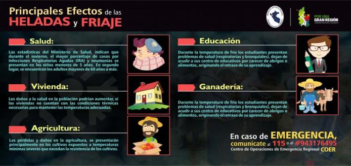 PRINCIPALES EFECTOS DE LAS HELADAS Y FRIAJE